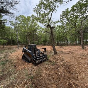 south fork land management jonesboro ar 2026 03 24T19:00:57.293956Z 019d2138 ad4d 7d04 8942 a3da4789cd95