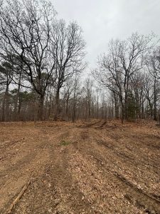 south fork land management jonesboro ar 2026 03 24T19:00:58.193192Z 019d2138 ad4d 709b 8e54 5bb0cb2846e0