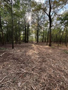 south fork land management jonesboro ar 2026 03 24T19:01:00.470939Z 019d2138 b809 7b79 aeaa 25f755efad51